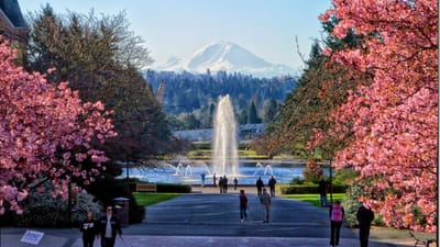 Seattle's Spring: A Cinematic Celebration for Every Film Fanatic