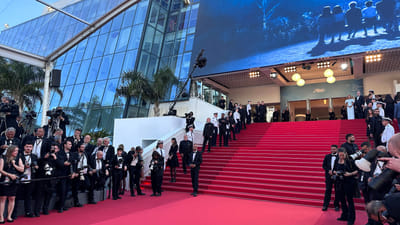 Why Creative Risk-Taking Is Winning Big at International Festivals