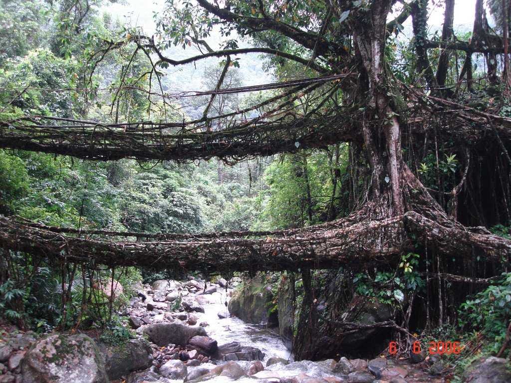 Shillong