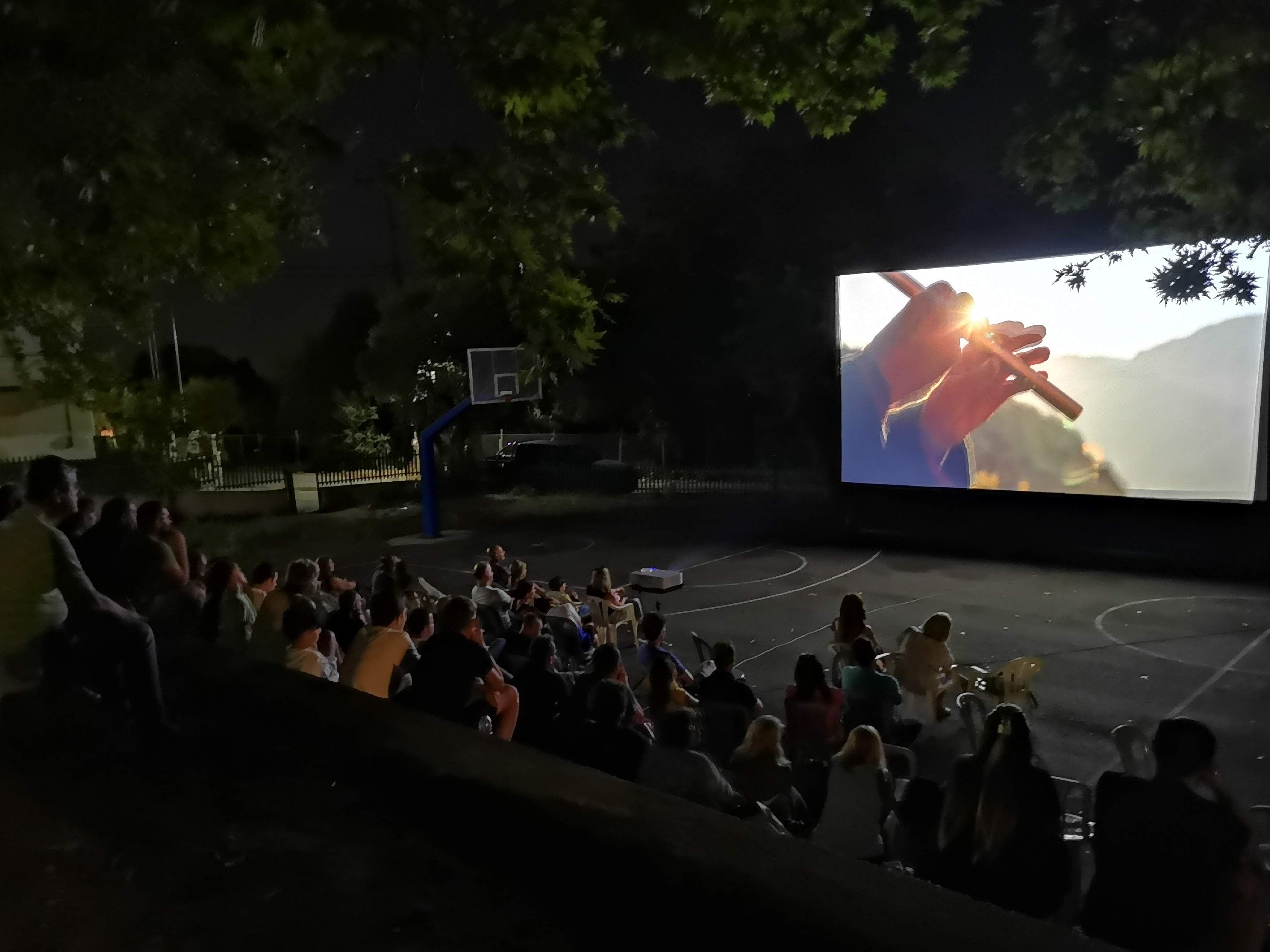 Screenings
