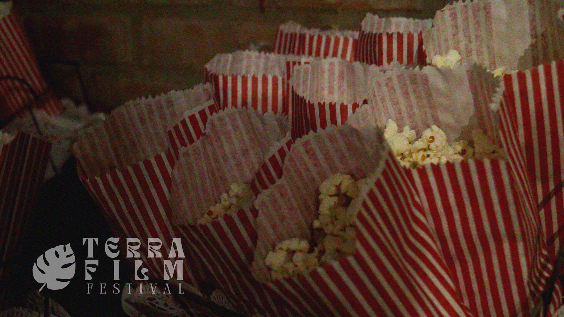 Terra Film Festival